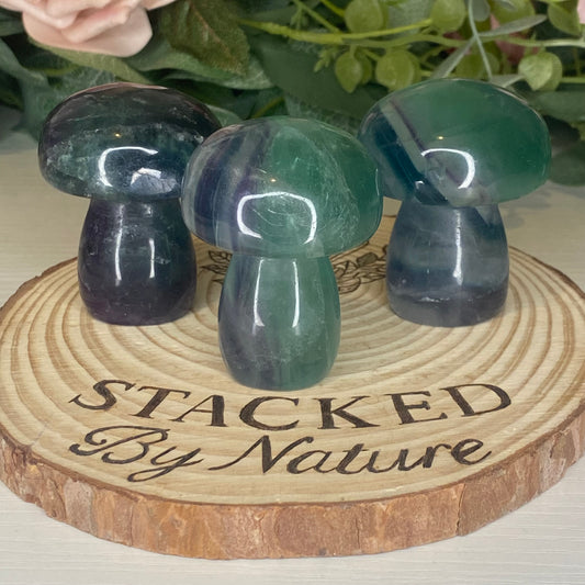 Fluorite Mushrooms