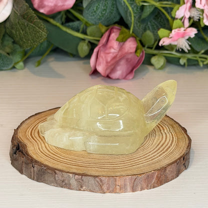 Citrine Turtle