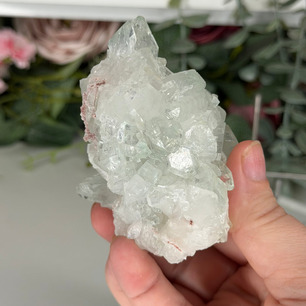 Green Apophyllite With Pink Chalcedony Q