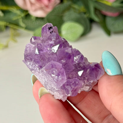 Amethyst Clusters