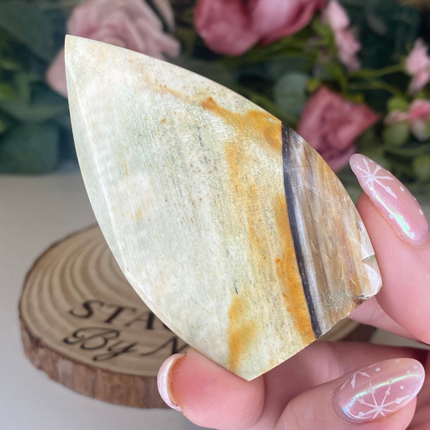 Petrified Wood Teardrops