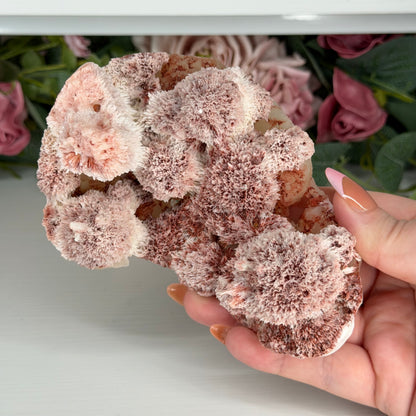 Pink Mordenite On Stilbite