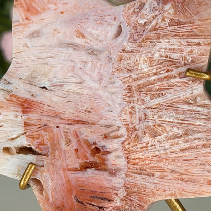 Pink Stick Agate Star B