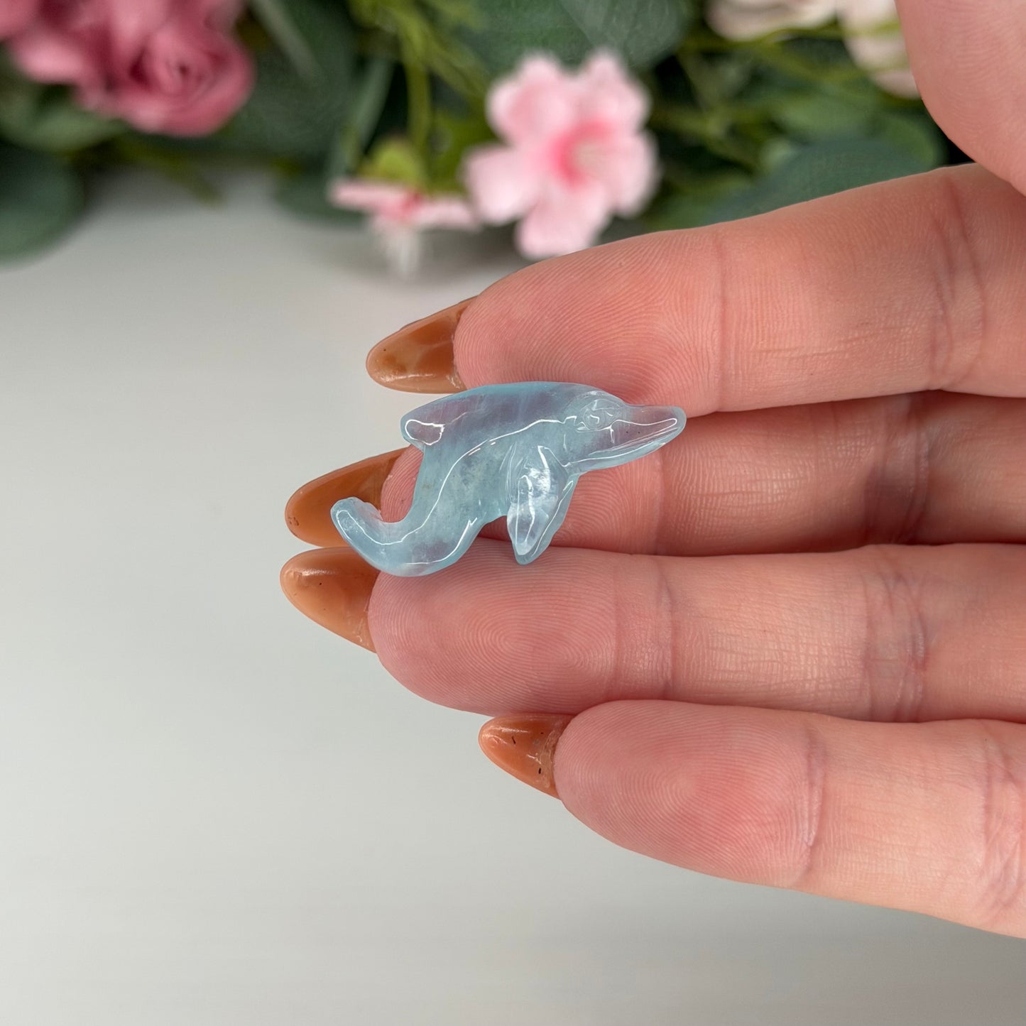 Aquamarine Dolphin