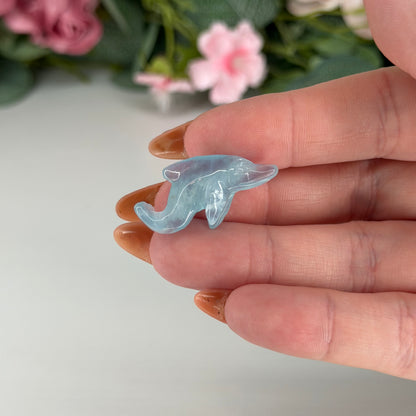 Aquamarine Dolphin
