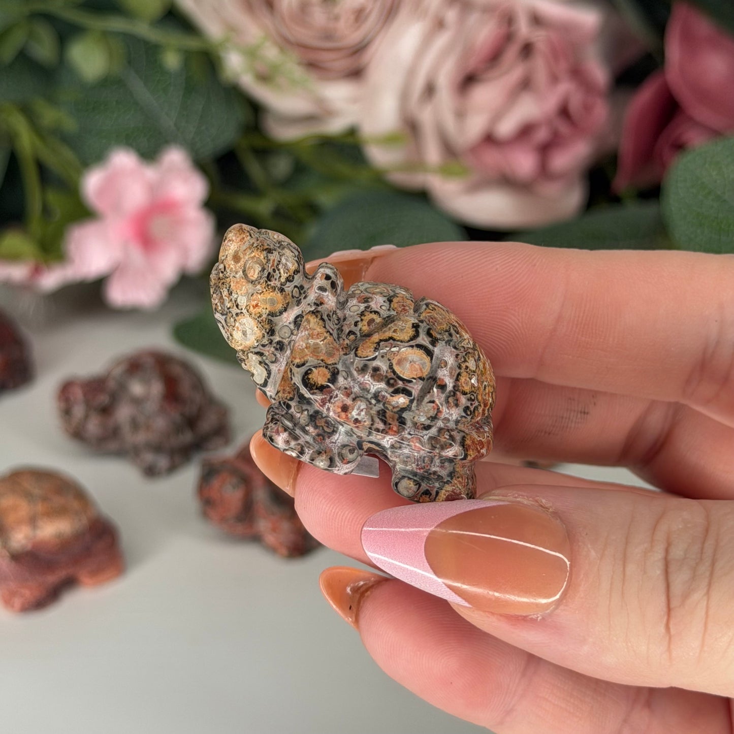 Leopard Skin Jasper Tortoise