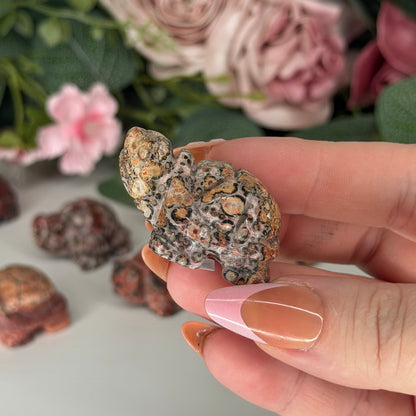Leopard Skin Jasper Tortoise