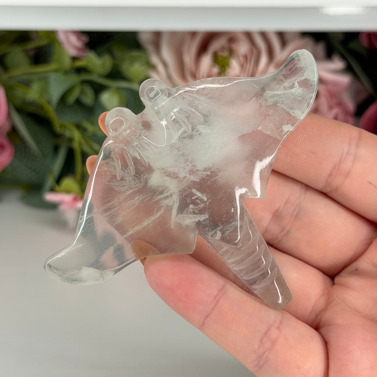 Fluorite Manta Ray