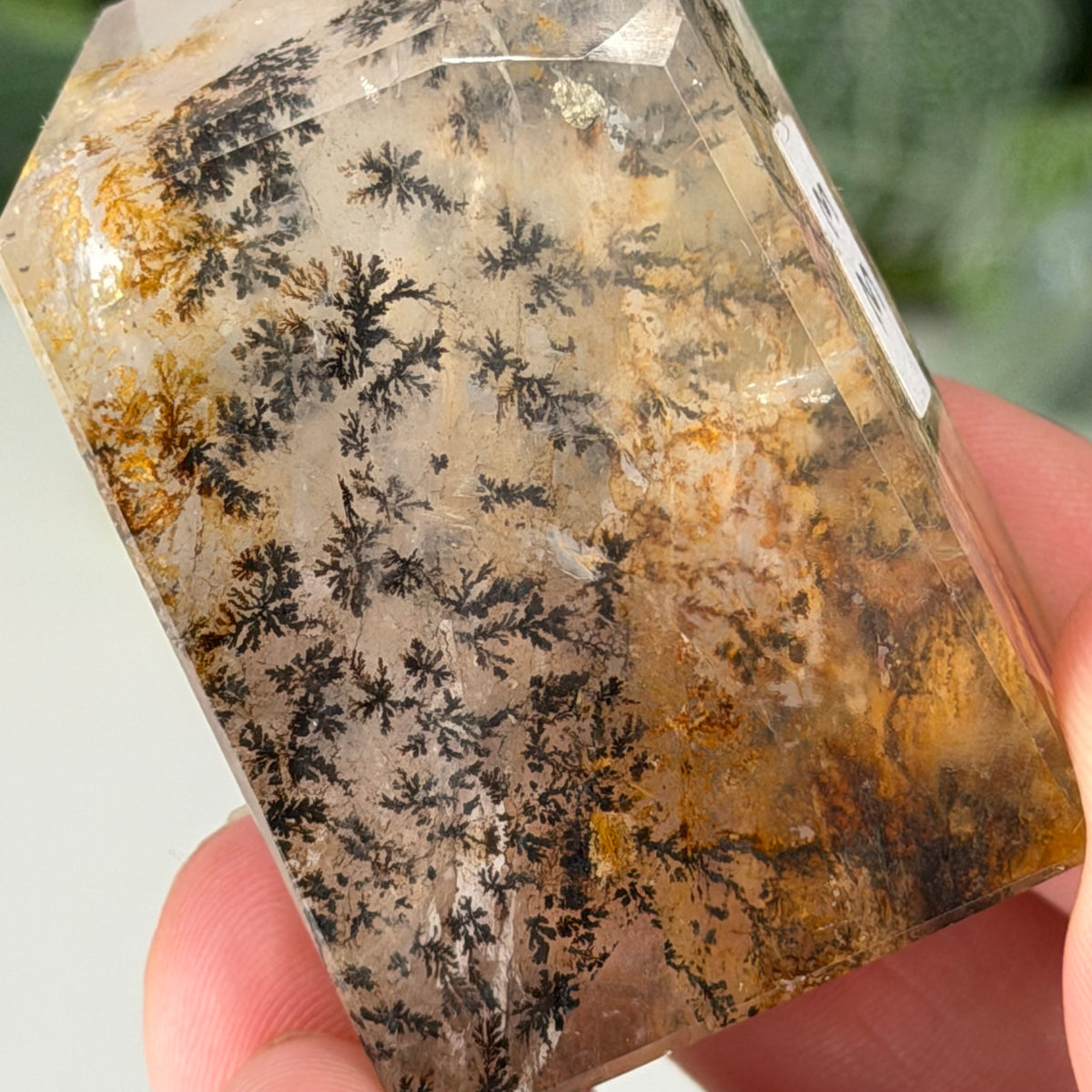 Dendritic Quartz Freeform