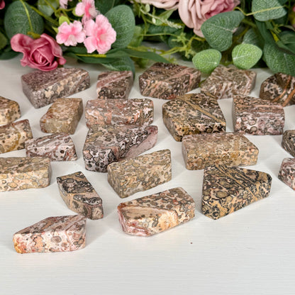 Leopard Skin Jasper Freeforms
