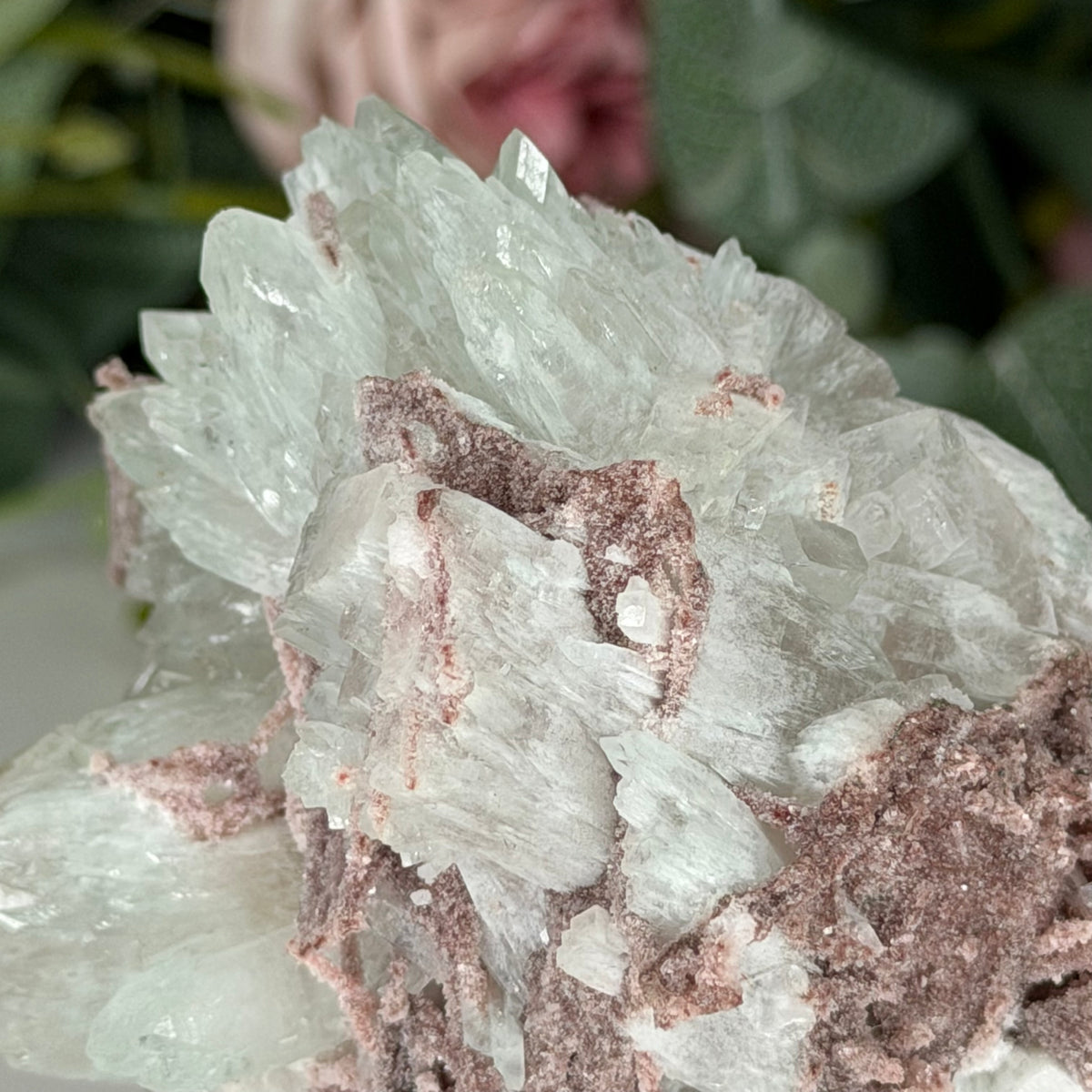 Green Apophyllite With Pink Chalcedony W