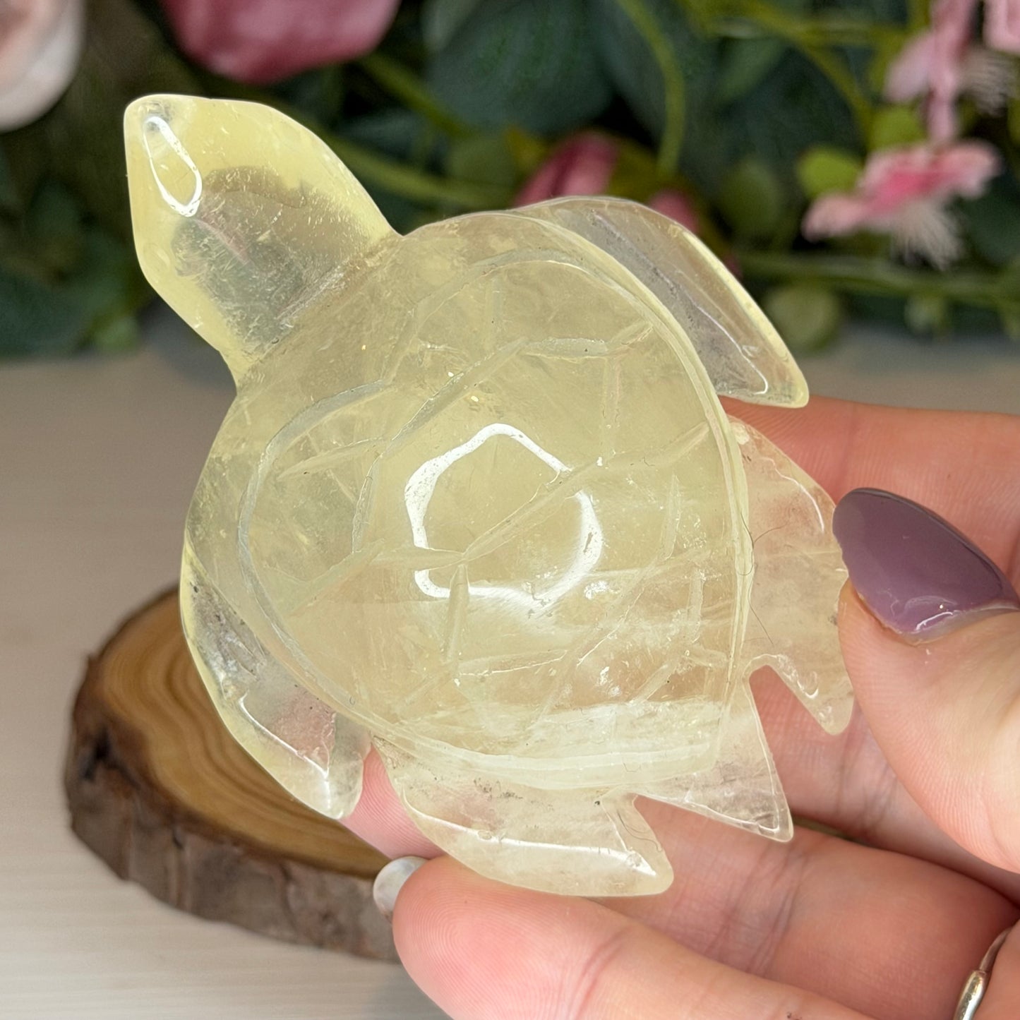 Citrine Turtle