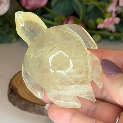 Citrine Turtle