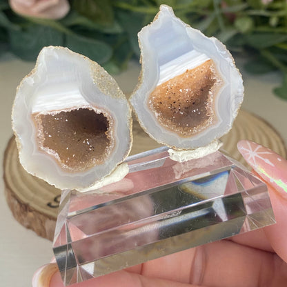 Brazilian Agate Geode Pairs