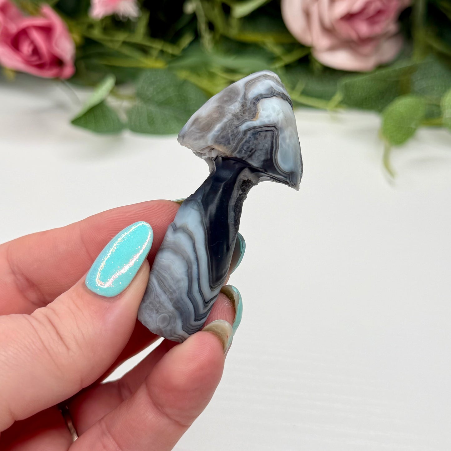 Gobi Agate Mushrooms
