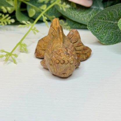 Jasper Fish