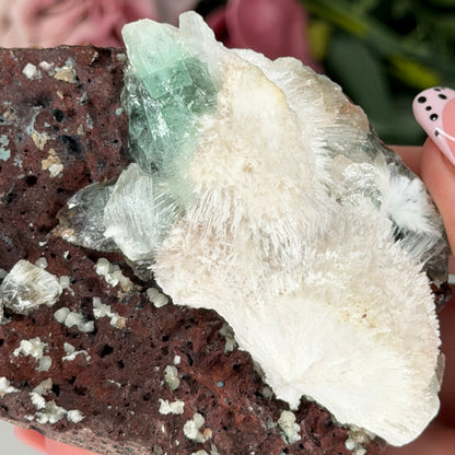 Green Apophyllite With Mordenite AQ