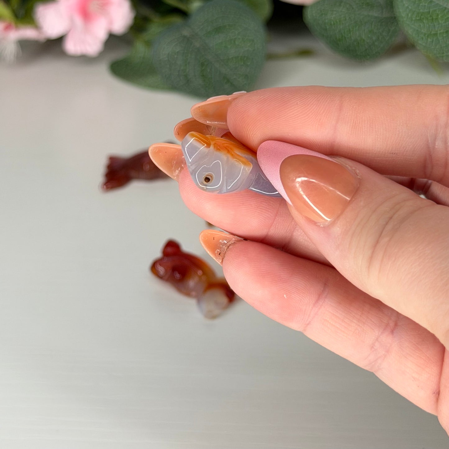 Mini Agate Fish