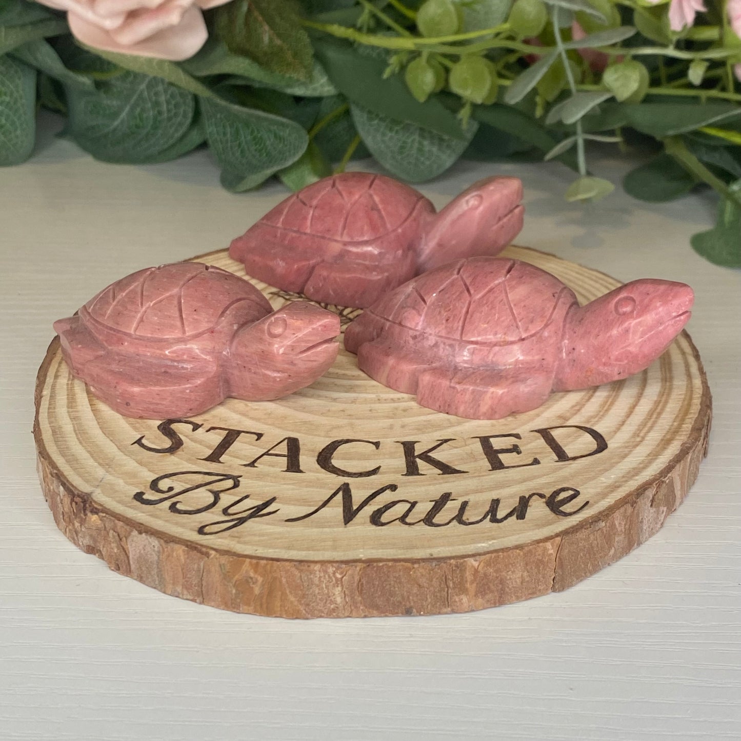 Himalayan Rhodonite Turtles