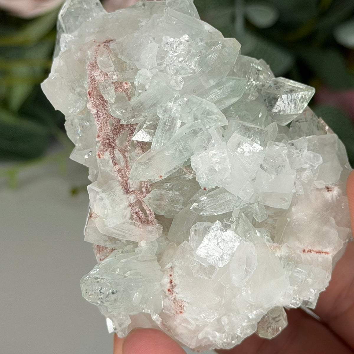 Green Apophyllite With Pink Chalcedony Q