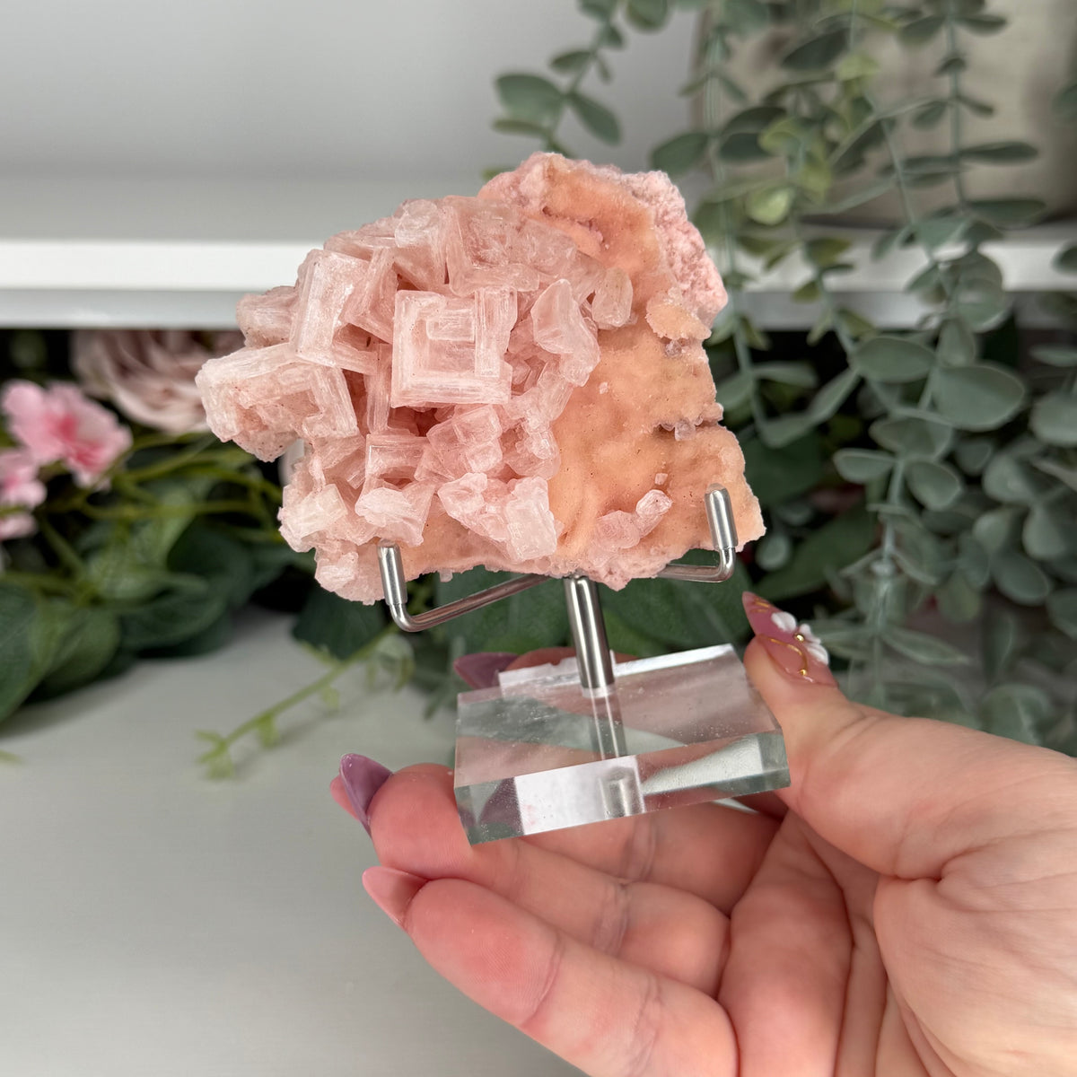 Pink Halite (Stand Included)