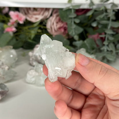 Green Apophyllite With Pink Chalcedony