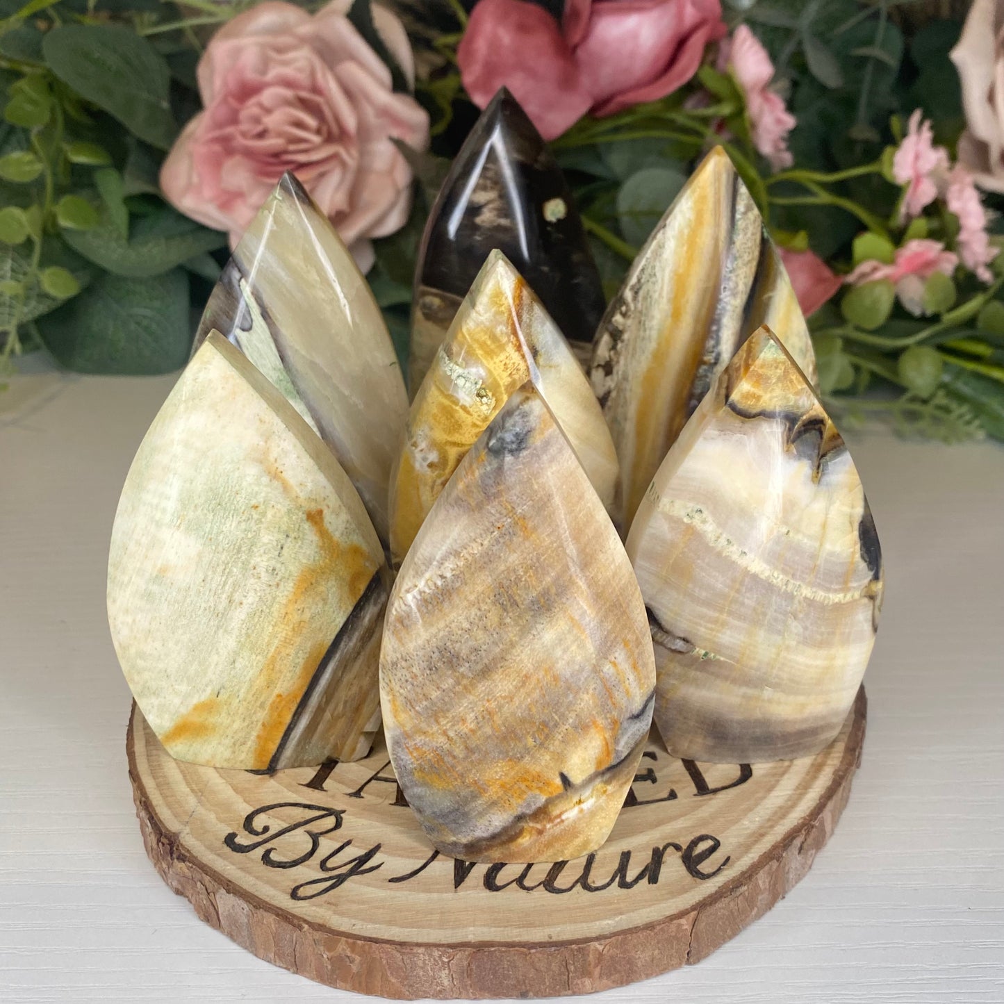 Petrified Wood Teardrops