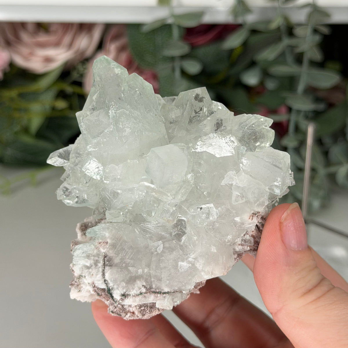 Green Apophyllite With Pink Chalcedony H