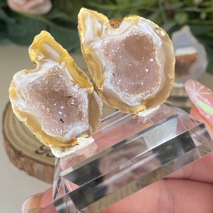 Brazilian Agate Geode Pairs