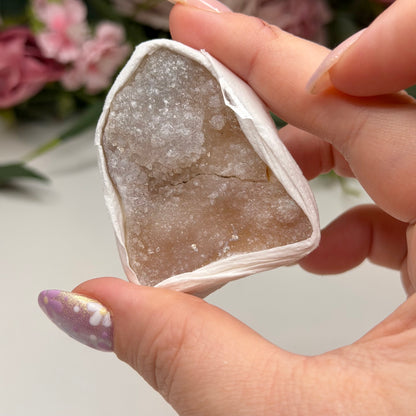 Brazilian Zeolites