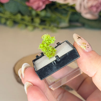 Pyromorphite Specimen