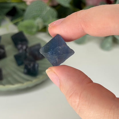 Mini Fluorite Octahedron