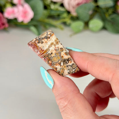 Leopard Skin Jasper Freeforms