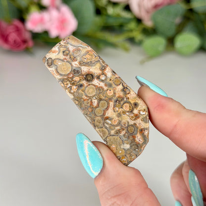 Leopard Skin Jasper Freeforms