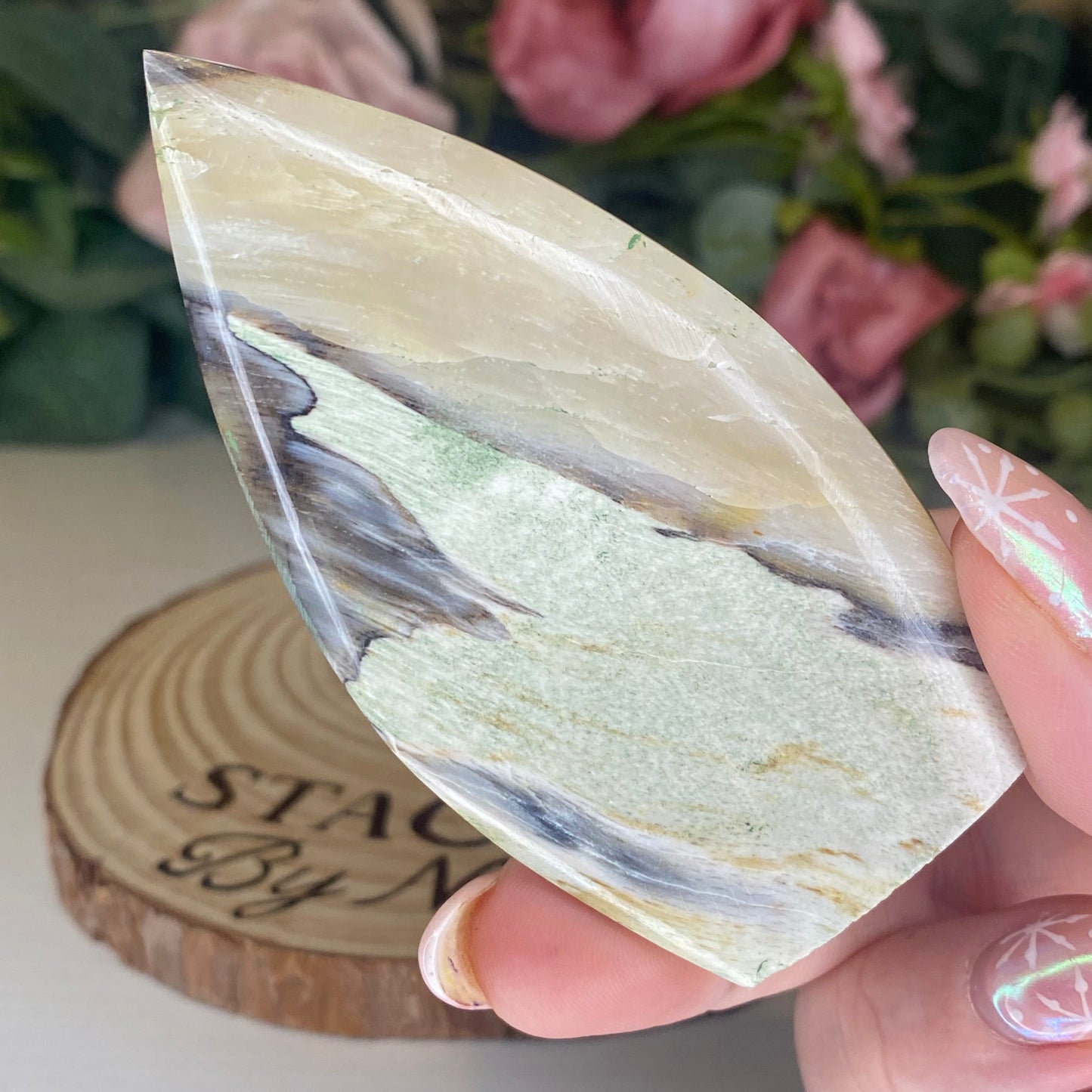 Petrified Wood Teardrops