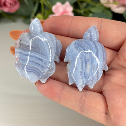 Blue Lace Agate Turtles