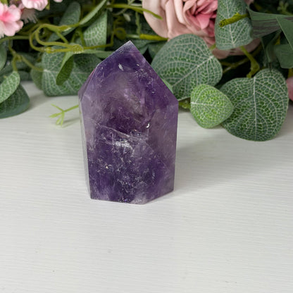 Amethyst Tower F
