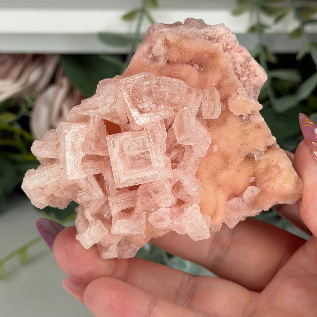 Pink Halite (Stand Included)