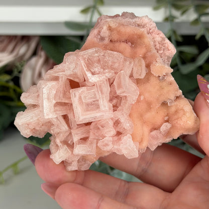 Pink Halite (Stand Included)