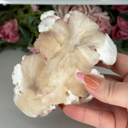 Pink Mordenite On Stilbite