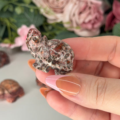 Leopard Skin Jasper Tortoise