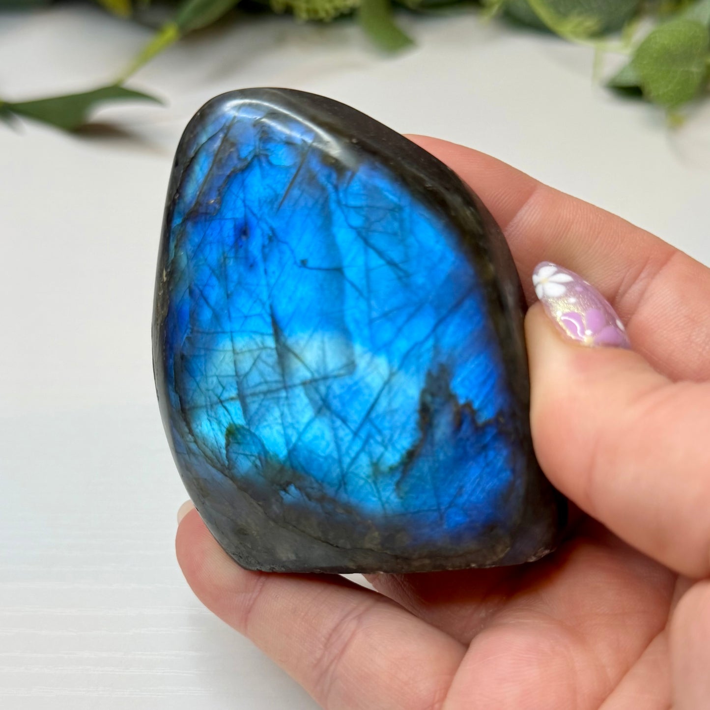 Labradorite Freeforms