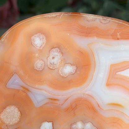 Carnelian Flower Agate Dish E