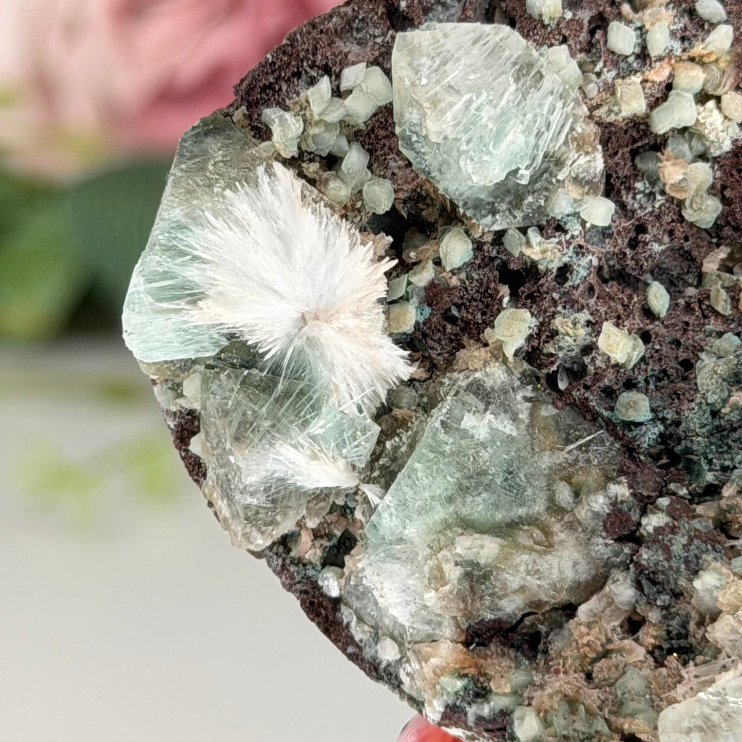 Green Apophyllite With Mordenite AN