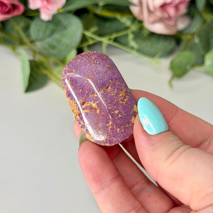 Phosphosiderite Palmstones