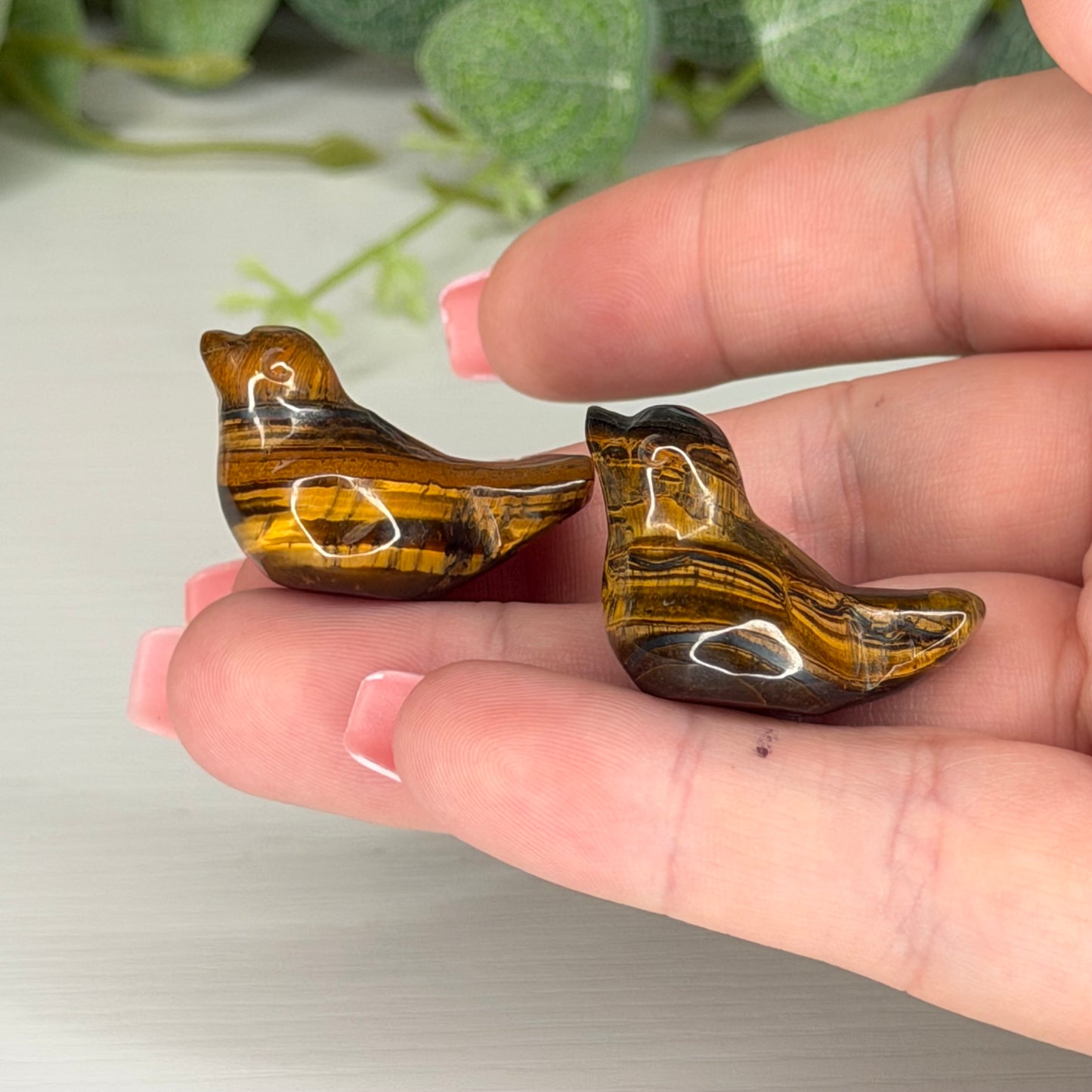 Tigers Eye Mini Bird