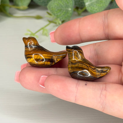 Tigers Eye Mini Bird