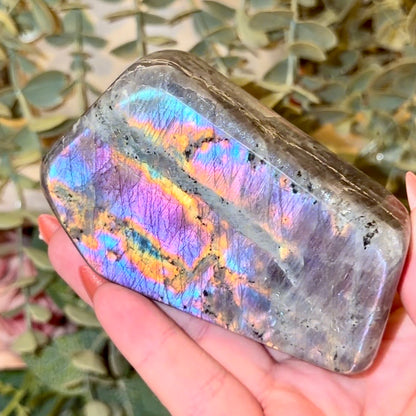 Labradorite Freeforms