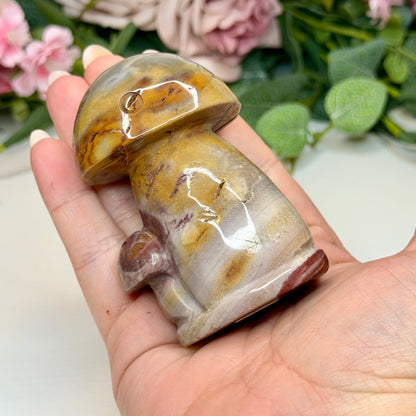 Polychrome Jasper Mushy
