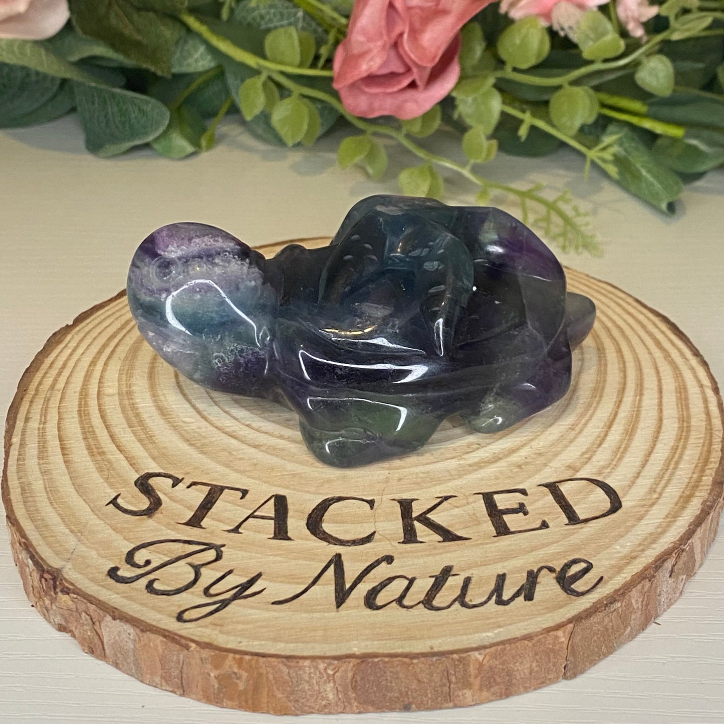 Fluorite Turtles with Sea Creatures